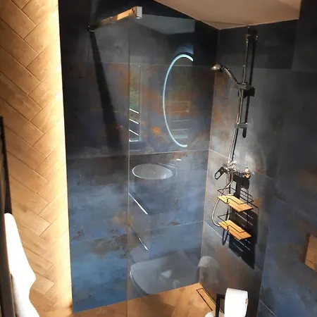 Pod Sosnami Przeciszow Apartmán