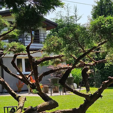 Pod Sosnami Przeciszów *